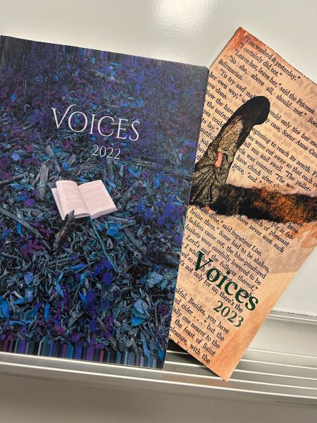 Copies of the two recent edition of Voices in purple and tan covers.